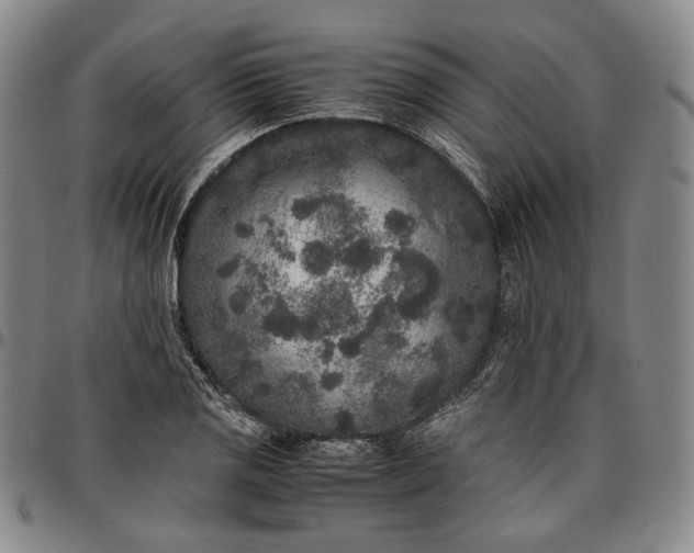 X0000096651125200802191236