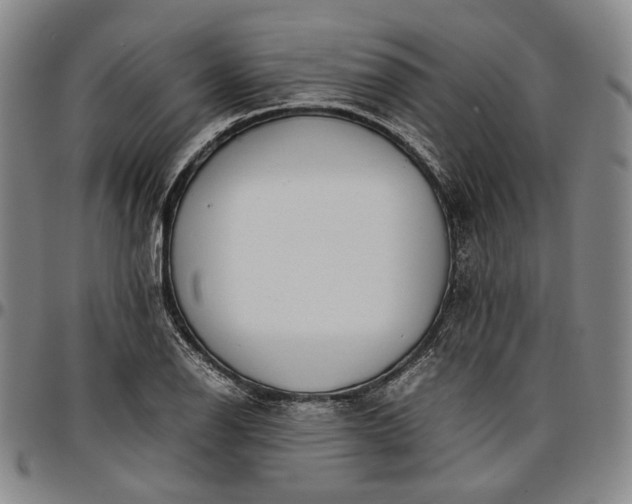 X0000096651126200802191236