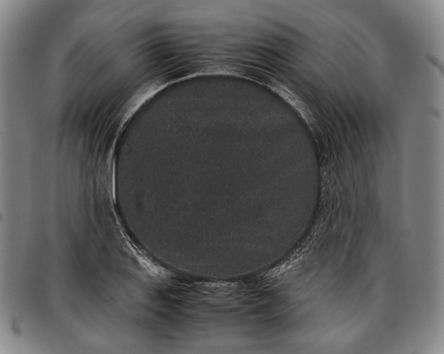 X0000096651127200802191236