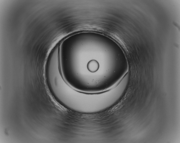 X0000096651128200802191236