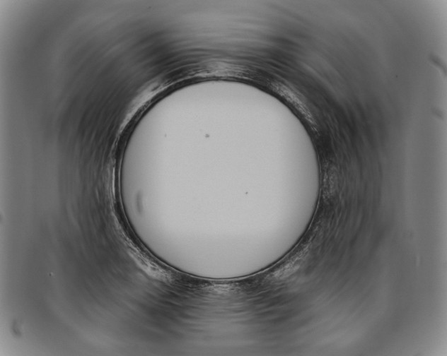 X0000096651130200802191236