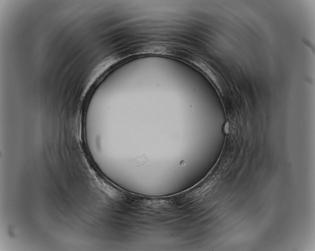 X0000096651131200802191236