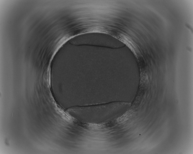 X0000096651132200802191236