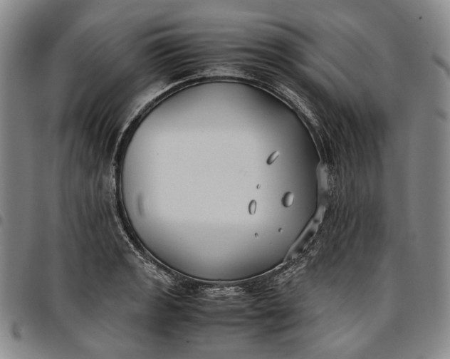 X0000096651133200802191236