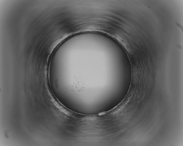 X0000096651134200802191236