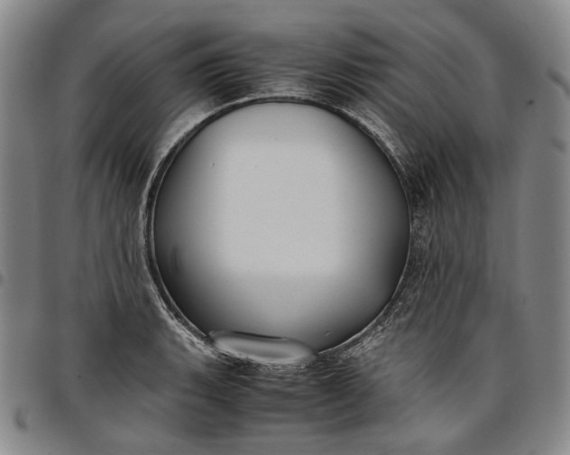 X0000096651135200802191236
