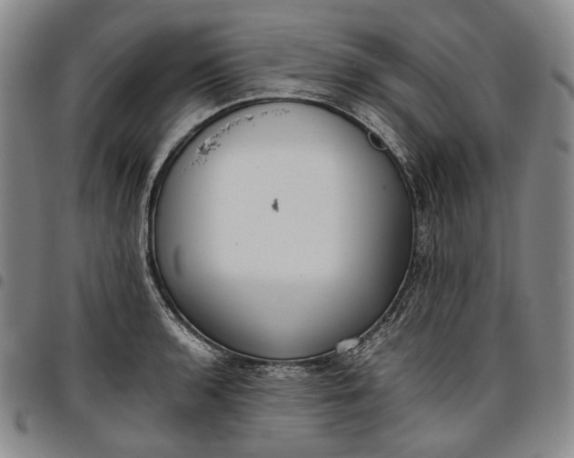 X0000096651136200802191236