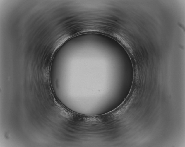 X0000096651137200802191236