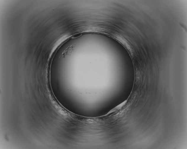 X0000096651138200802191236