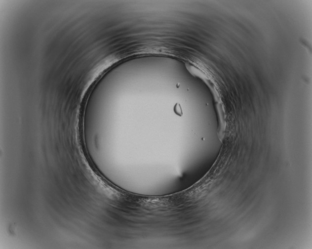 X0000096651139200802191236