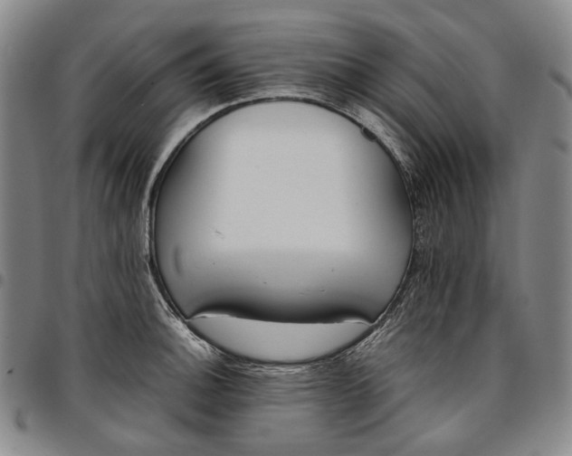 X0000096651140200802191236
