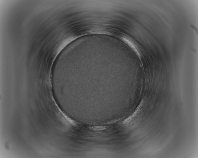 X0000096651141200802191236