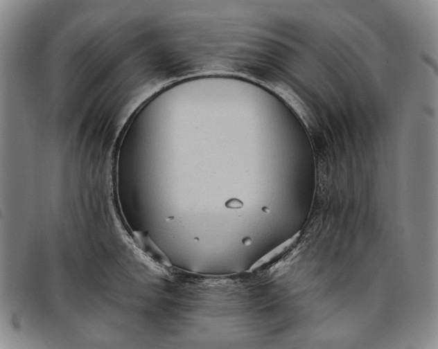 X0000096651142200802191236