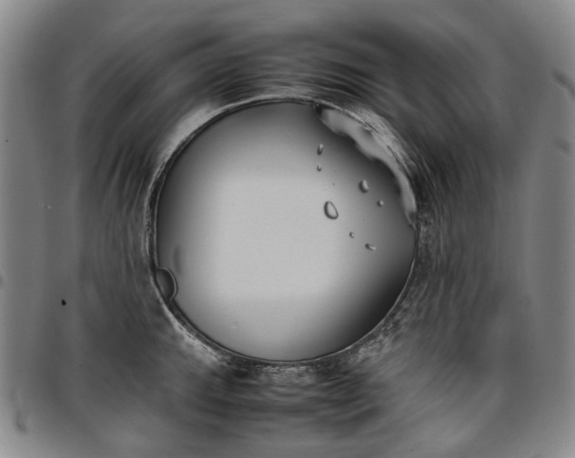 X0000096651143200802191236