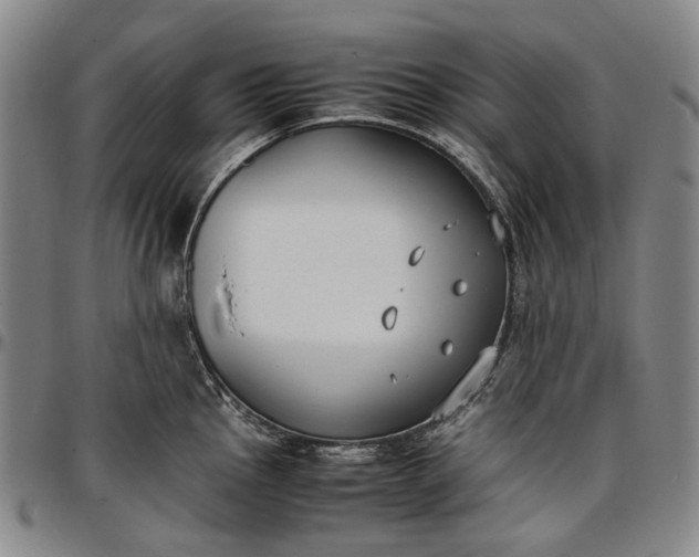 X0000096651145200802191236
