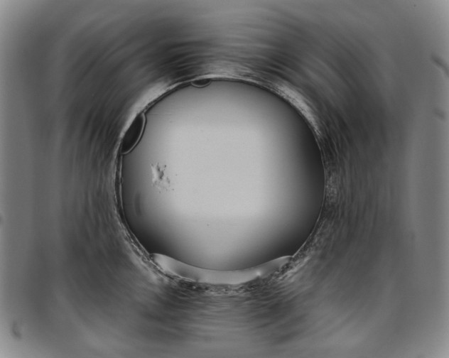 X0000096651146200802191236