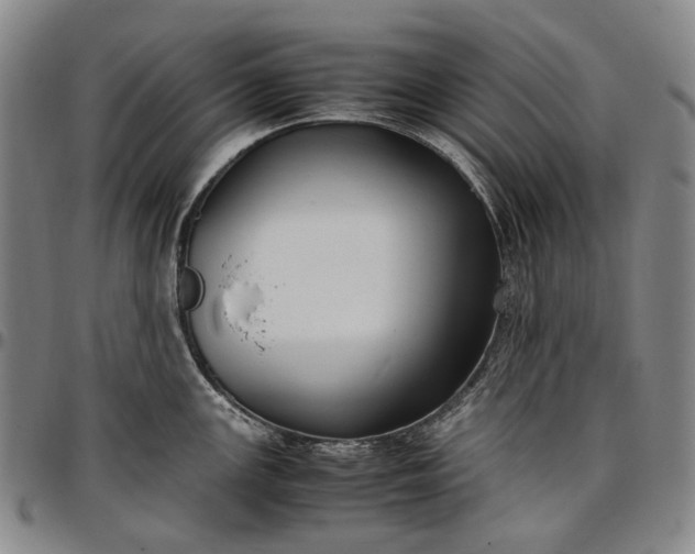 X0000096651147200802191236