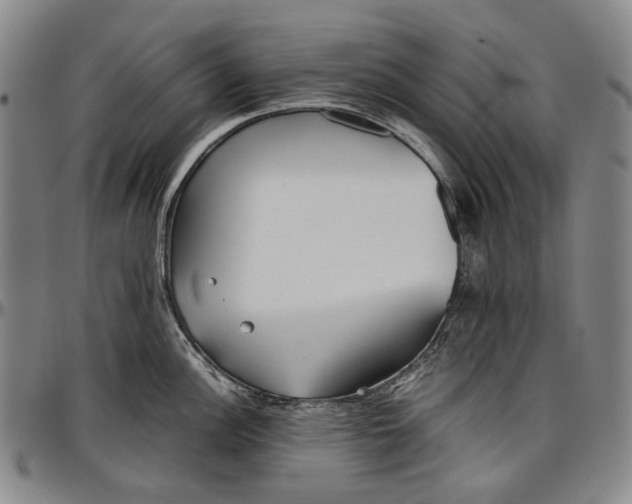 X0000096651148200802191236