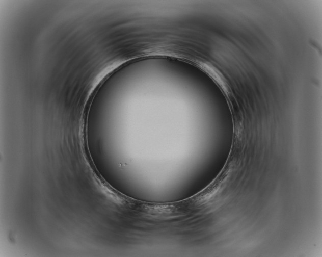 X0000096651149200802191236