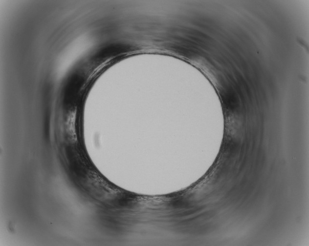 X0000096651150200802191236