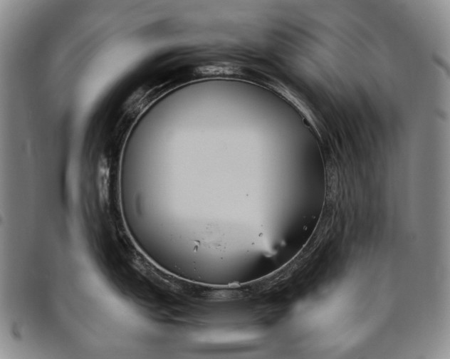 X0000096651151200802191237