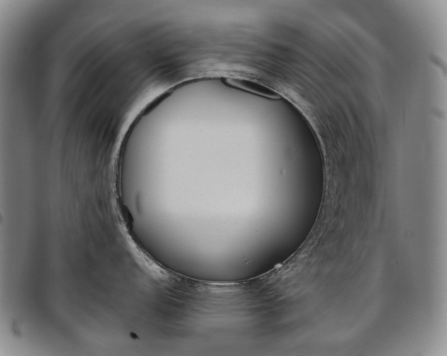 X0000096651152200802191237