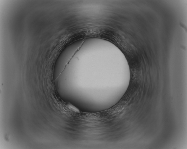X0000096651153200802191236