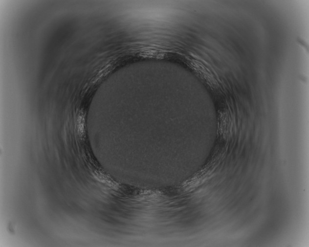 X0000096651154200802191236
