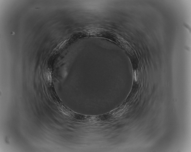 X0000096651155200802191236