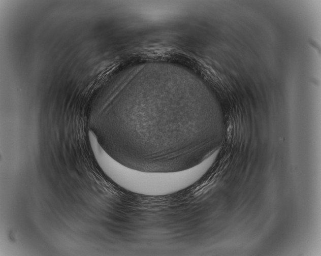 X0000096651156200802191236