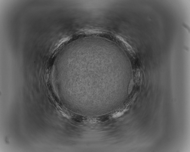 X0000096651157200802191236