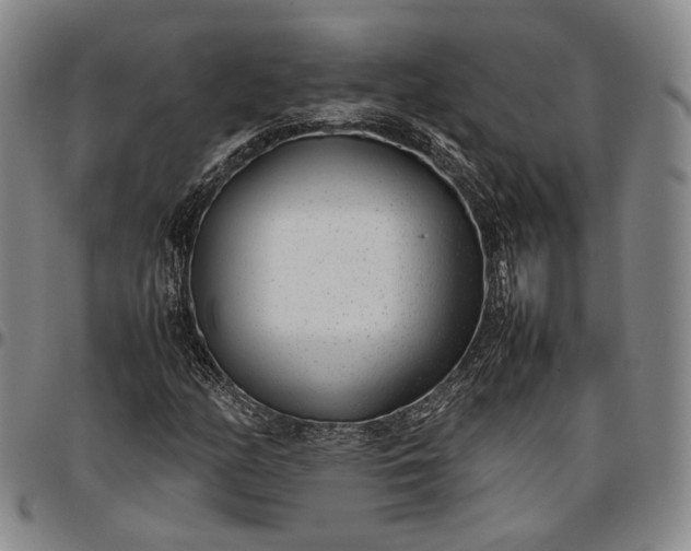 X0000096651158200802191236