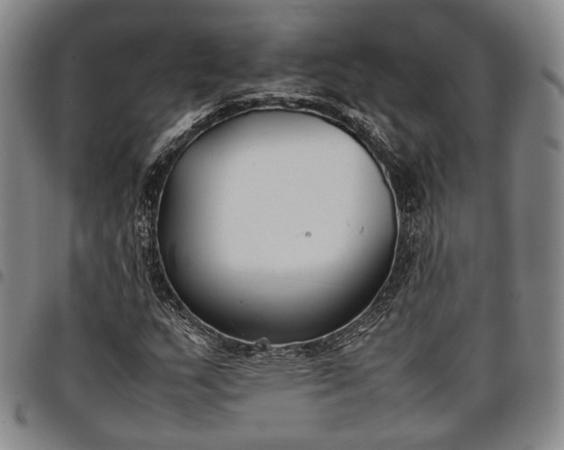 X0000096651159200802191236