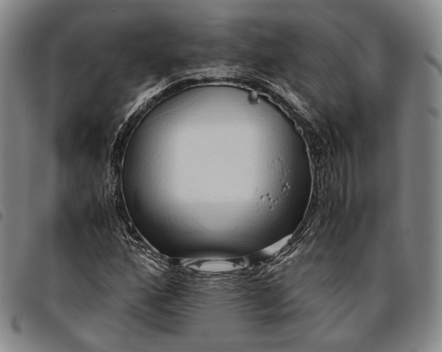 X0000096651160200802191236