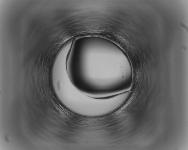 X0000096651161200802191236