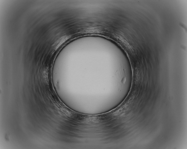 X0000096651162200802191236