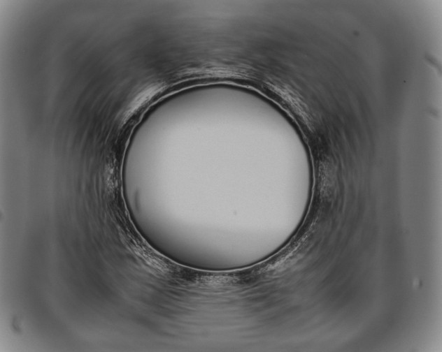 X0000096651163200802191236
