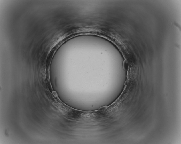 X0000096651165200802191236