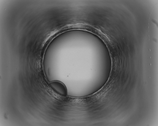 X0000096651166200802191236