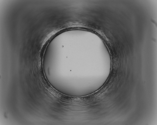 X0000096651167200802191236