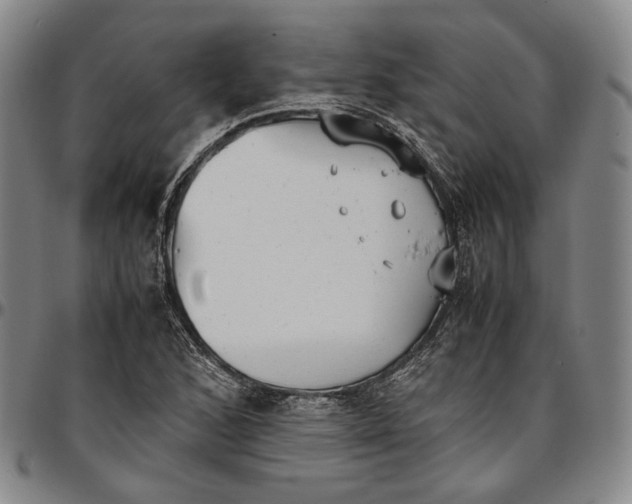 X0000096651168200802191236