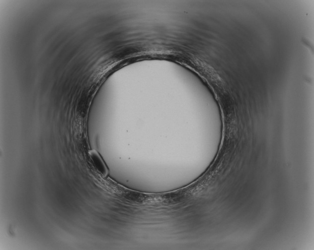 X0000096651169200802191236