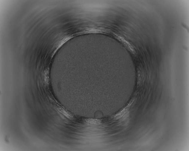 X0000096651170200802191236