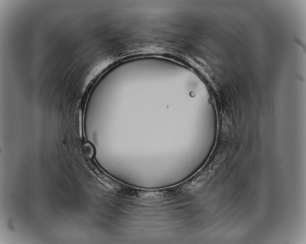 X0000096651171200802191236