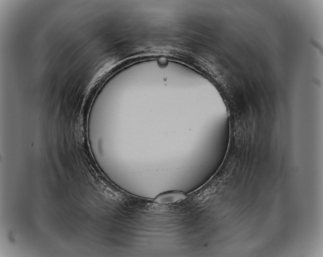 X0000096651172200802191236