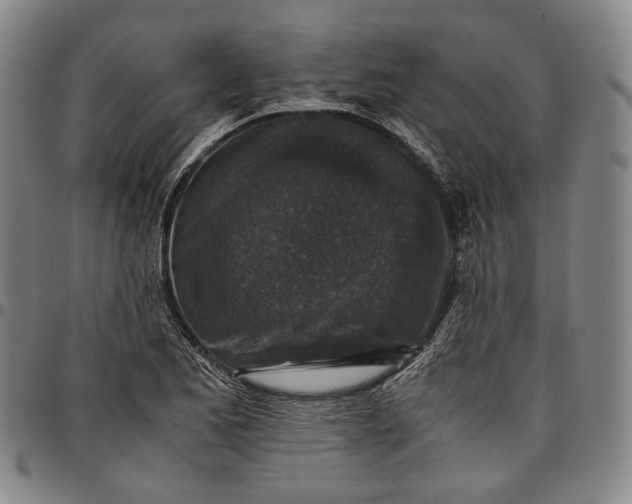 X0000096651173200802191236