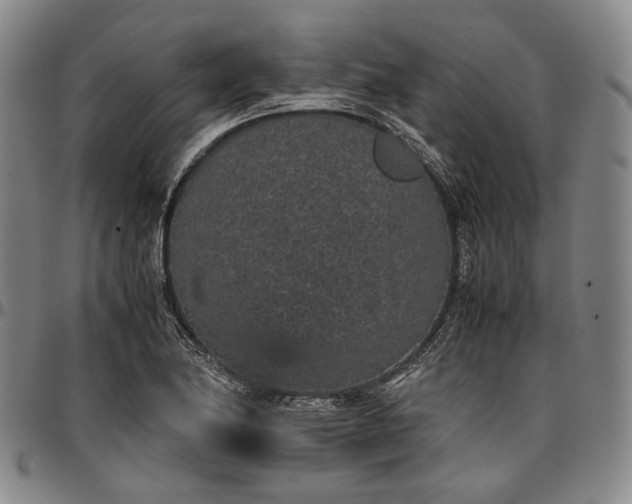 X0000096651174200802191236
