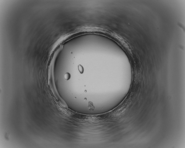 X0000096651175200802191236