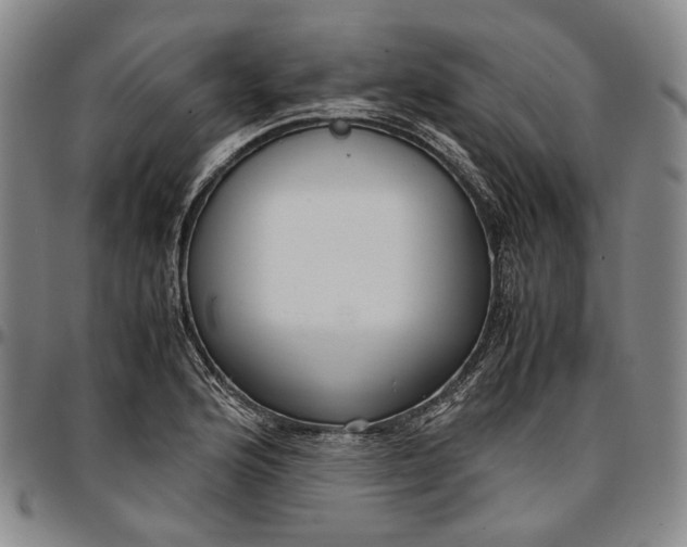 X0000096651176200802191236