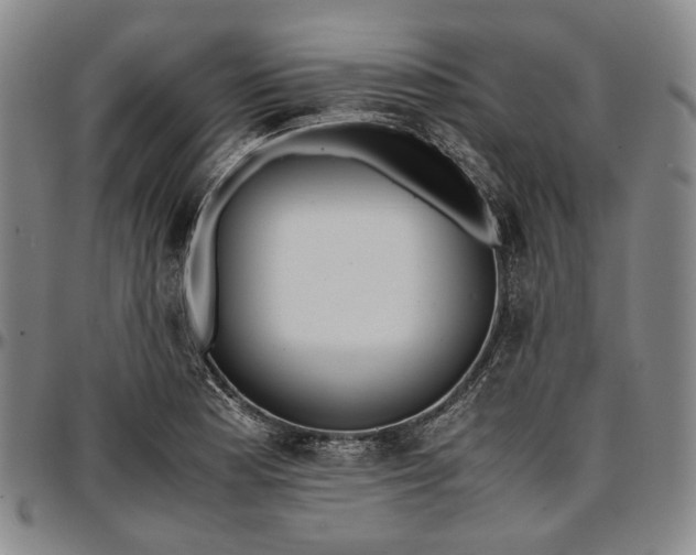 X0000096651177200802191235